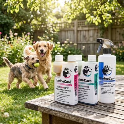 Complete Care Pack XL (500ml) – Advanced Gut & Skin Support for Large Dogs & Multi-Pet Homes
