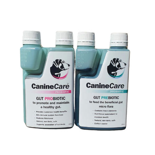 CanineCare Probiotic Gut Health Duo